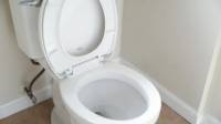 Fast Clogged Toilet Repair in Miami